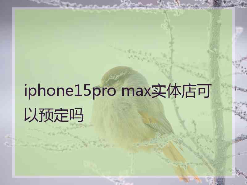 iphone15pro max实体店可以预定吗