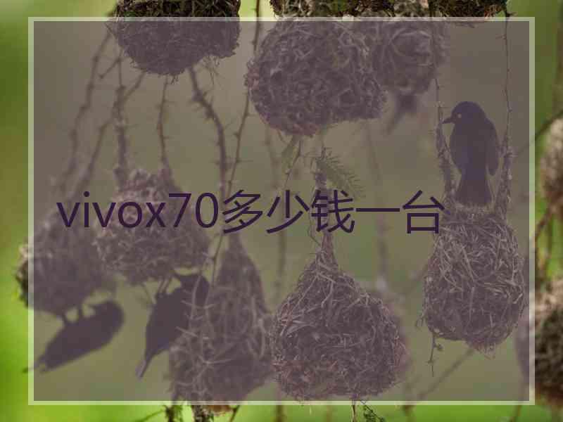 vivox70多少钱一台