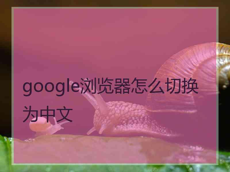 google浏览器怎么切换为中文