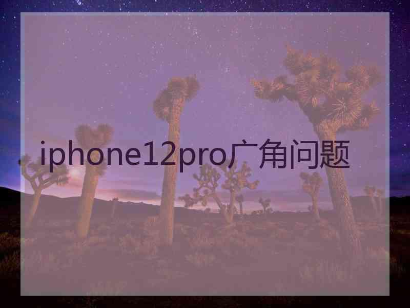 iphone12pro广角问题