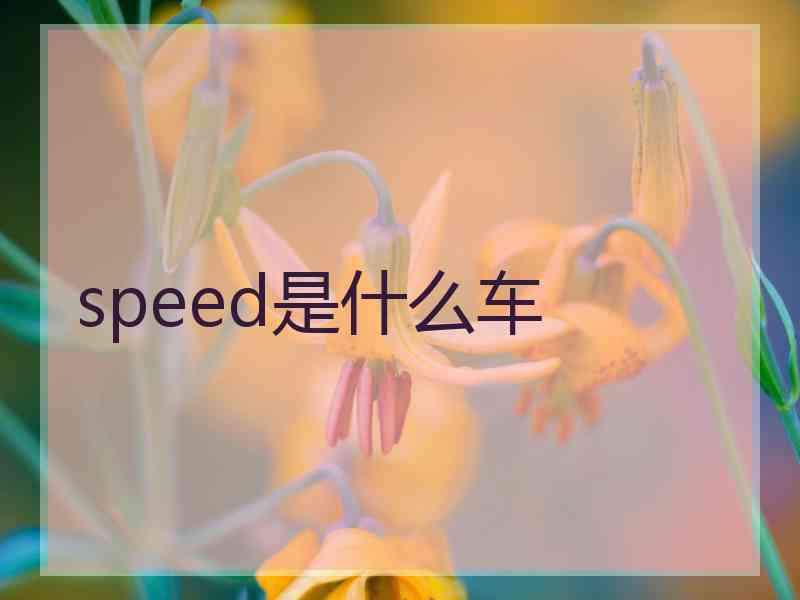 speed是什么车