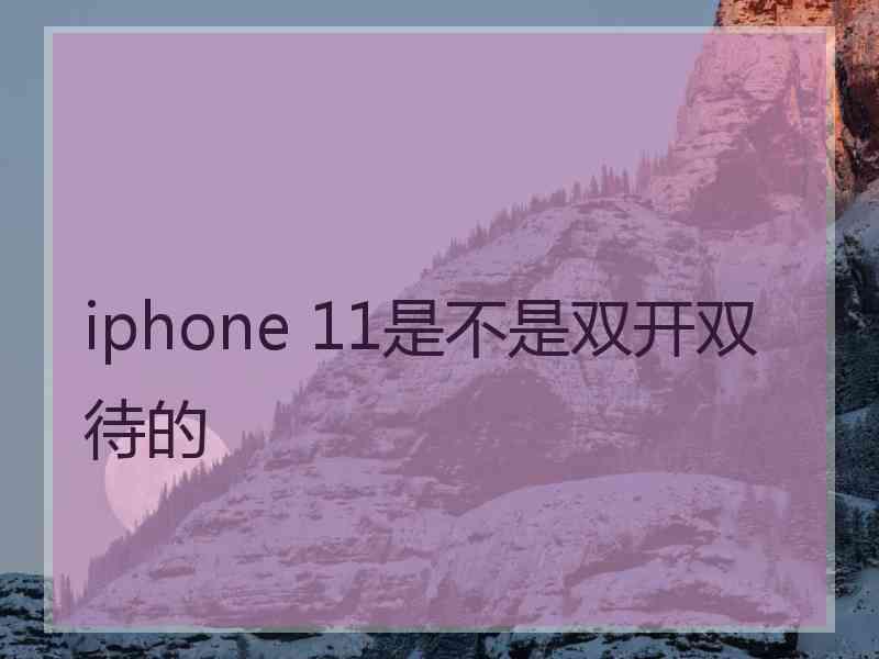 iphone 11是不是双开双待的