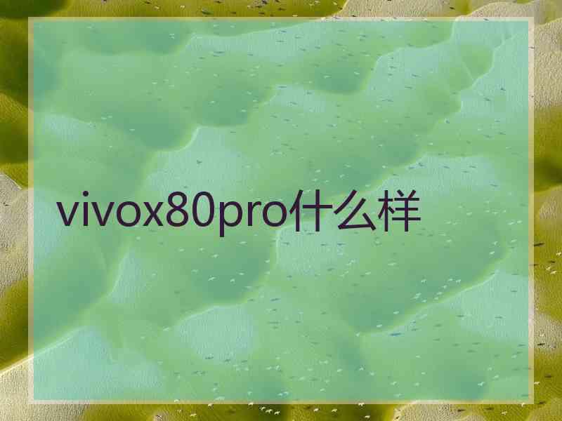 vivox80pro什么样