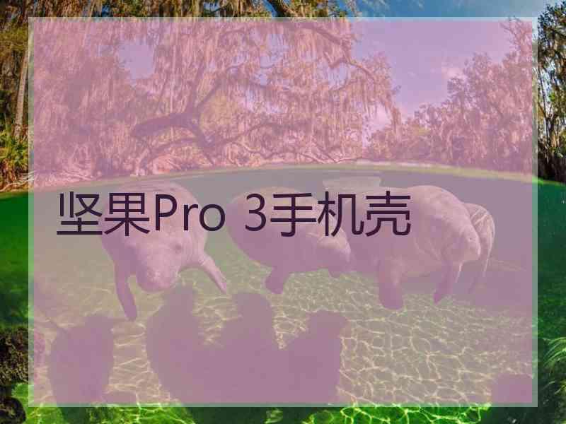 坚果Pro 3手机壳