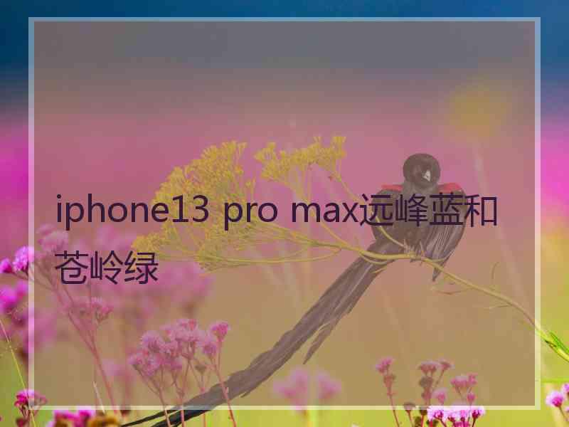 iphone13 pro max远峰蓝和苍岭绿