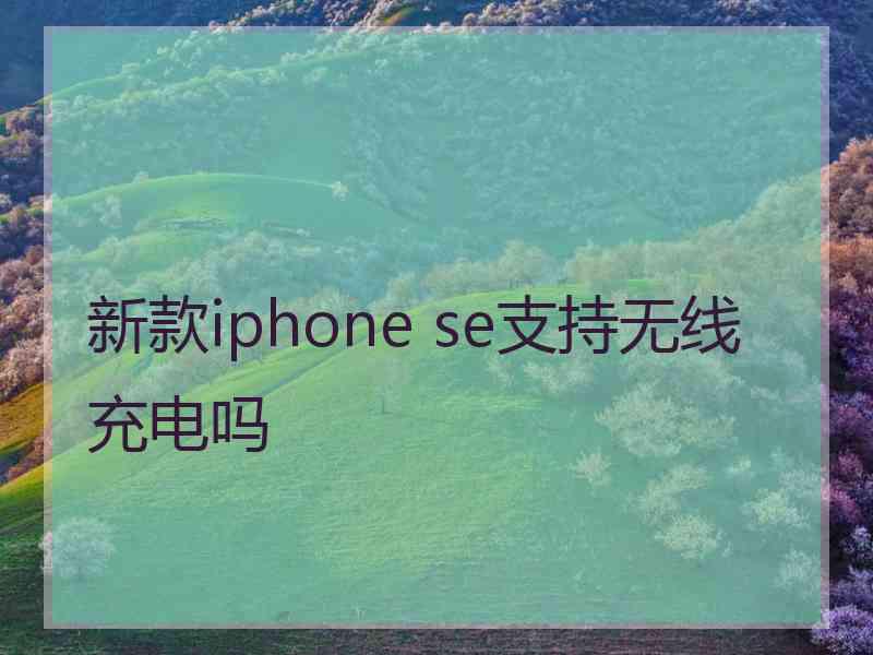 新款iphone se支持无线充电吗