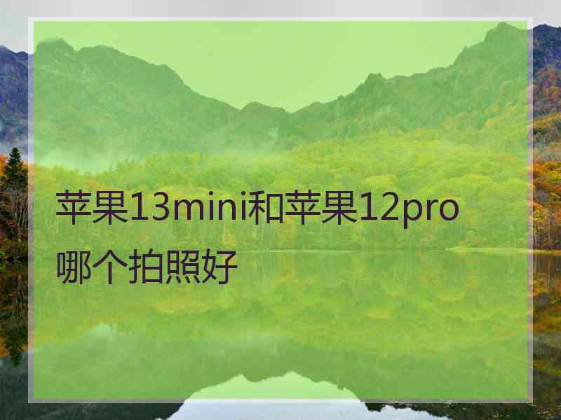 苹果13mini和苹果12pro哪个拍照好