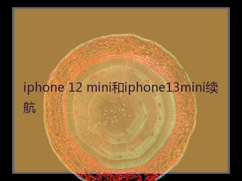 iphone 12 mini和iphone13mini续航