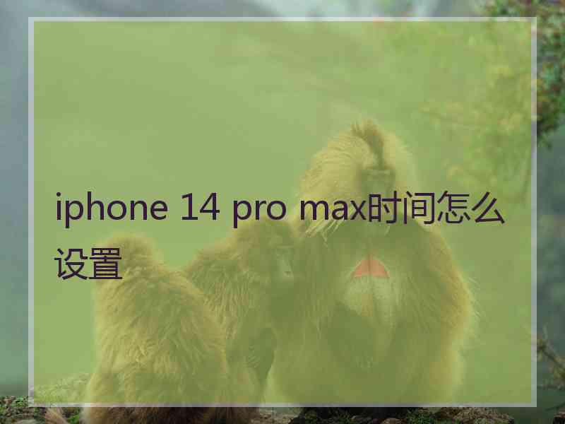 iphone 14 pro max时间怎么设置