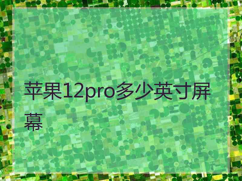 苹果12pro多少英寸屏幕