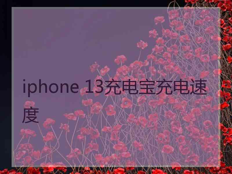 iphone 13充电宝充电速度