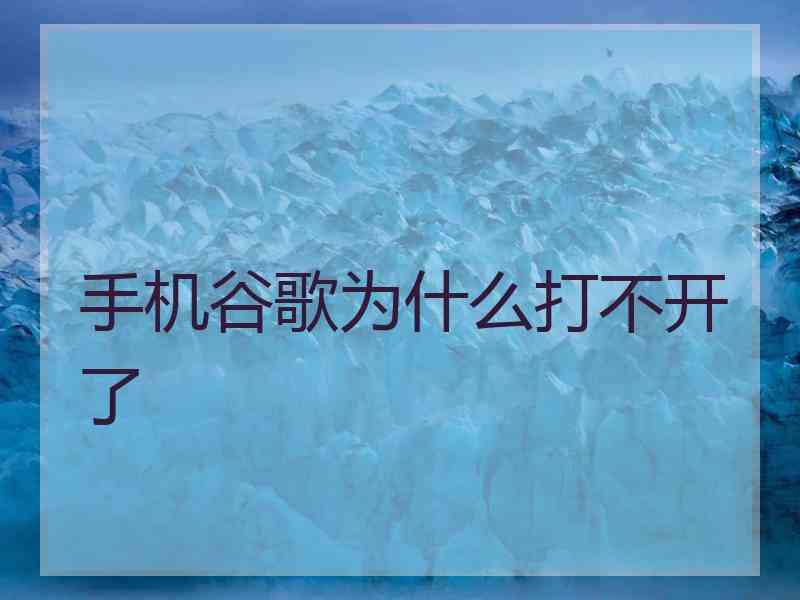 手机谷歌为什么打不开了