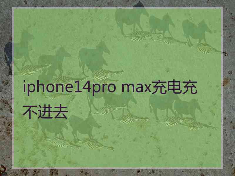 iphone14pro max充电充不进去