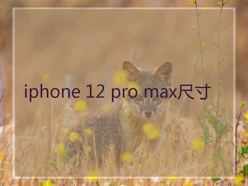 iphone 12 pro max尺寸