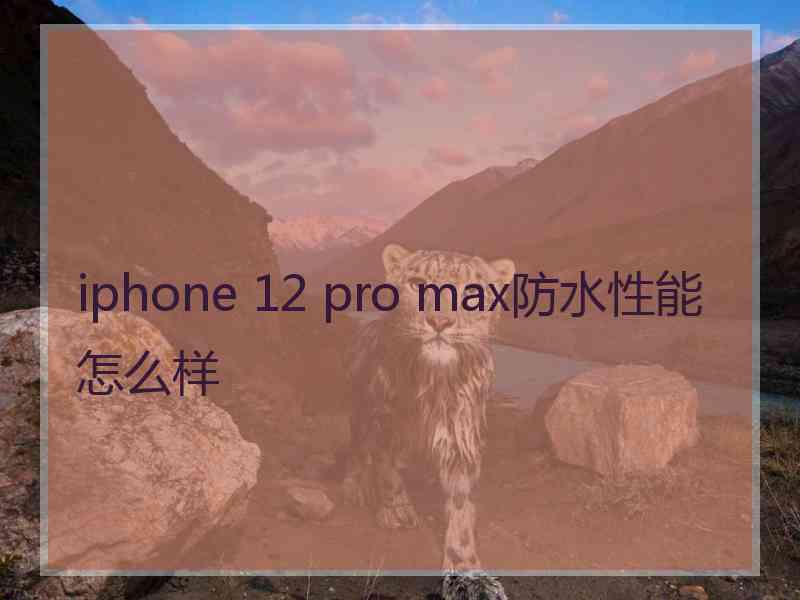 iphone 12 pro max防水性能怎么样