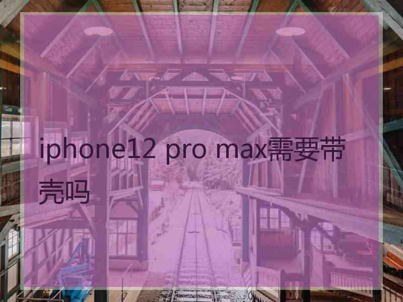 iphone12 pro max需要带壳吗