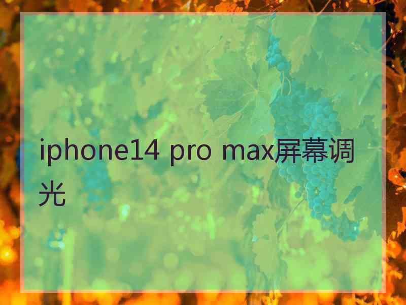 iphone14 pro max屏幕调光