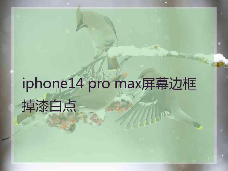 iphone14 pro max屏幕边框掉漆白点