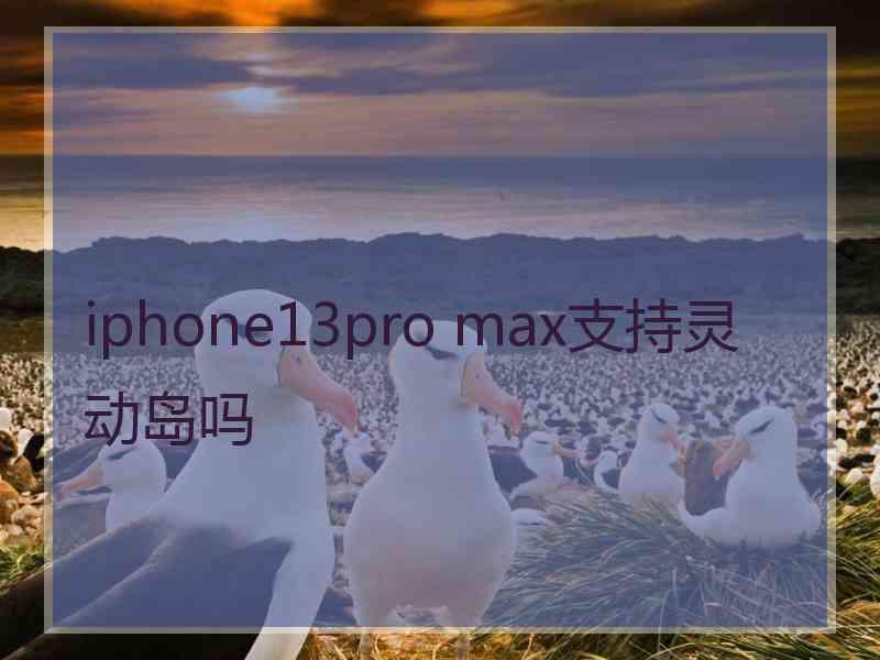 iphone13pro max支持灵动岛吗