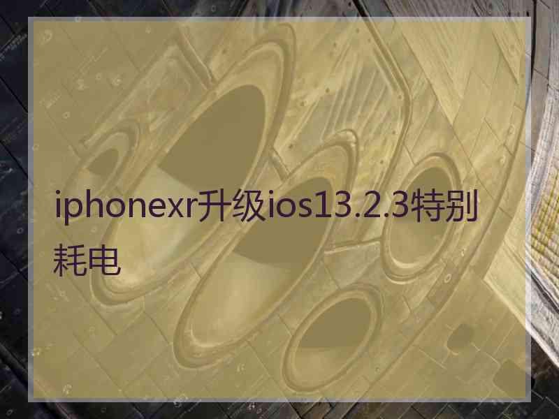 iphonexr升级ios13.2.3特别耗电