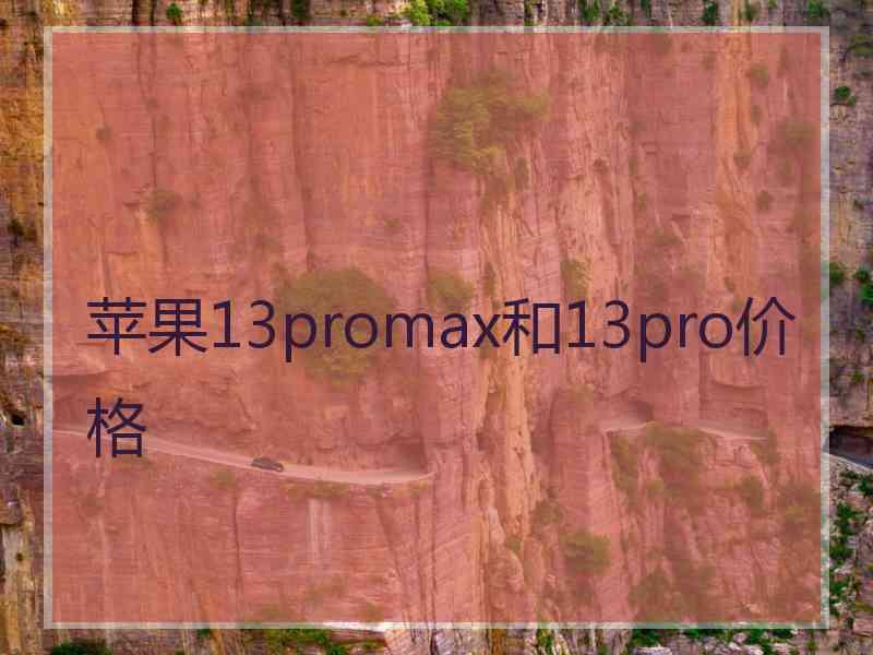 苹果13promax和13pro价格