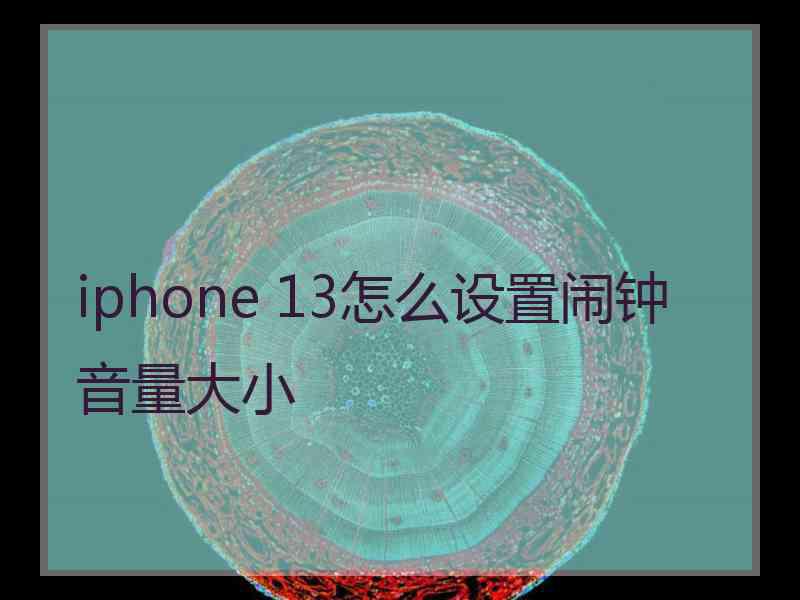 iphone 13怎么设置闹钟音量大小