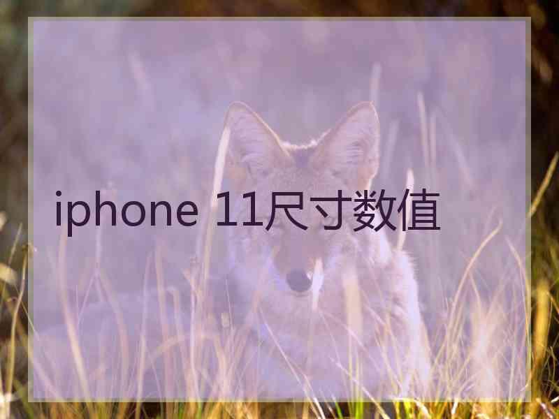 iphone 11尺寸数值