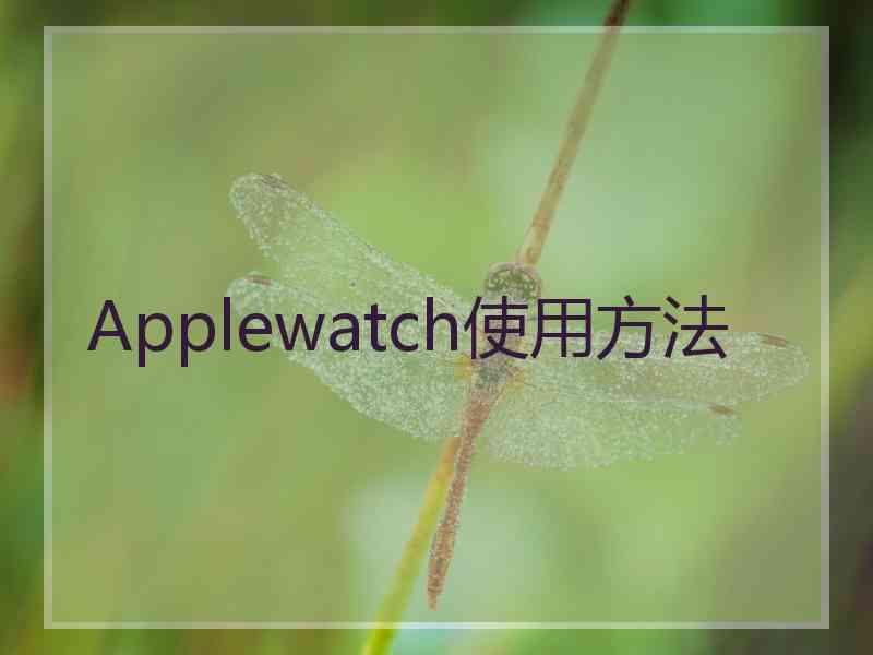 Applewatch使用方法