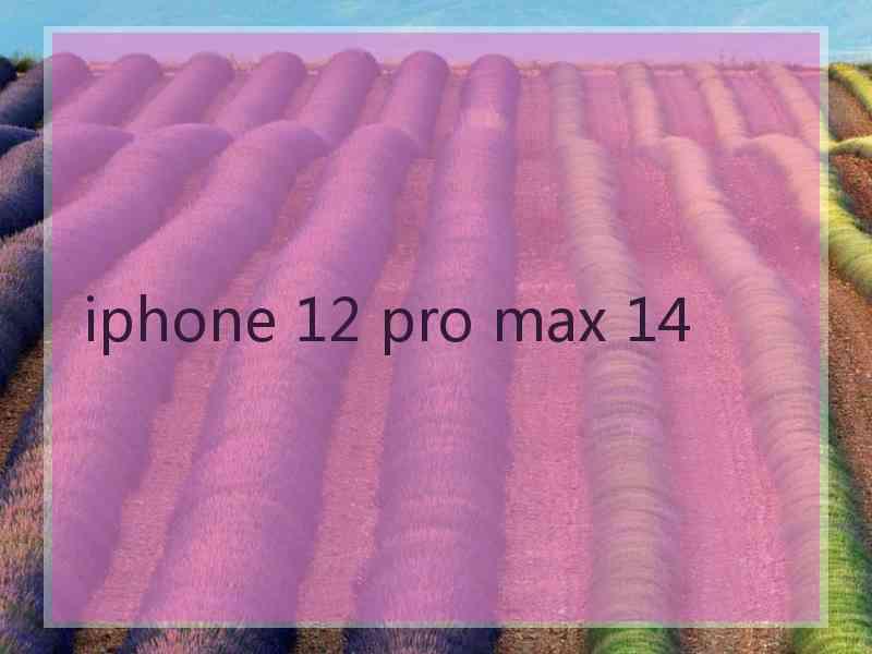 iphone 12 pro max 14