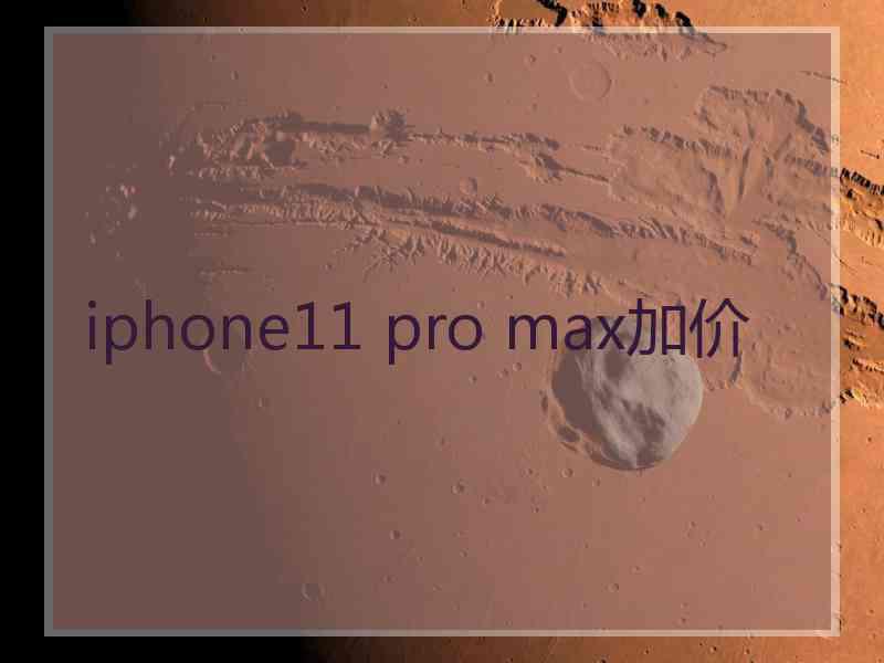 iphone11 pro max加价