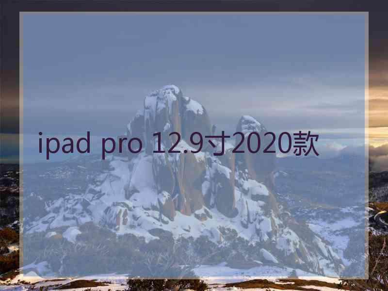 ipad pro 12.9寸2020款