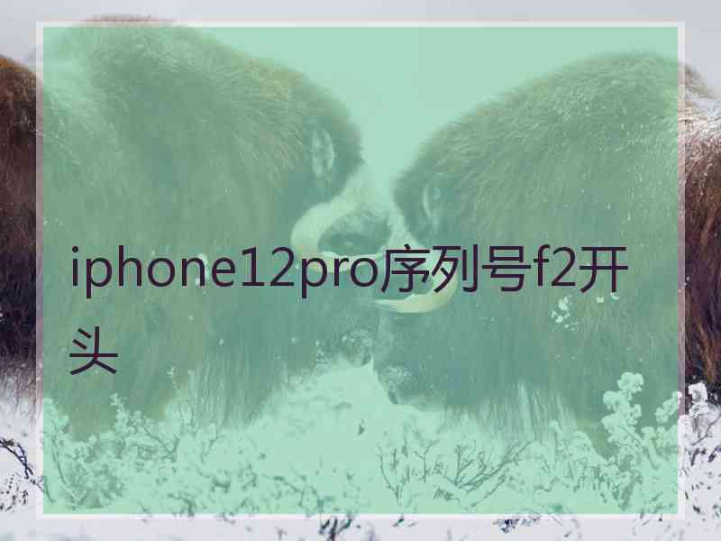 iphone12pro序列号f2开头