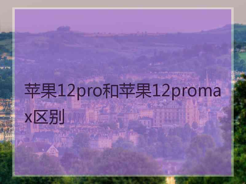 苹果12pro和苹果12promax区别