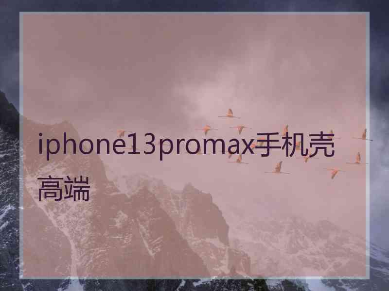 iphone13promax手机壳高端