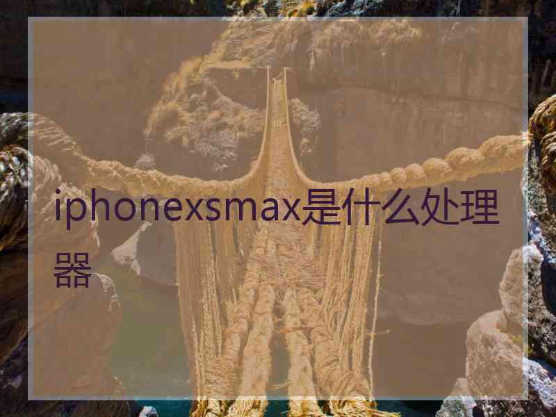 iphonexsmax是什么处理器