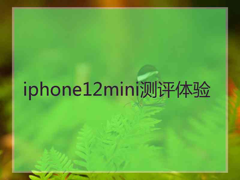 iphone12mini测评体验