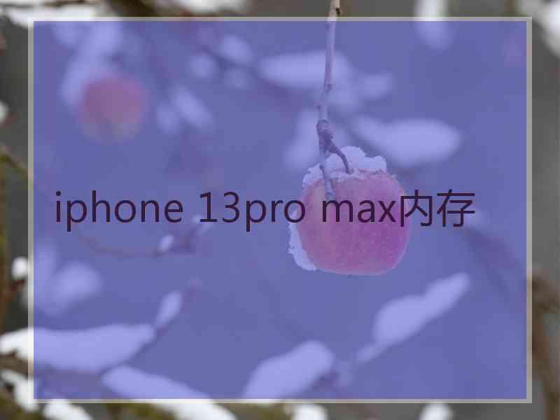 iphone 13pro max内存