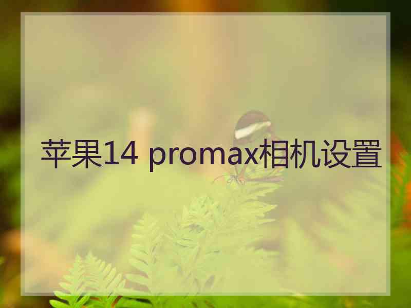 苹果14 promax相机设置