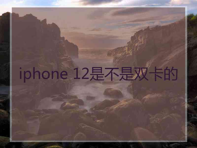 iphone 12是不是双卡的