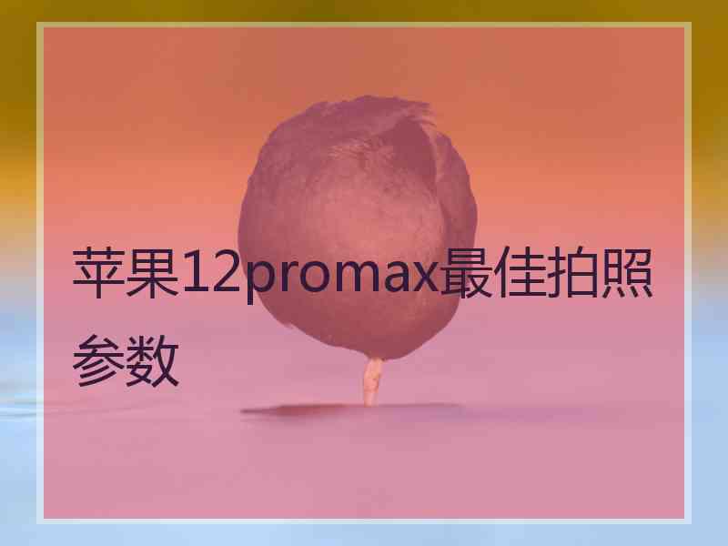 苹果12promax最佳拍照参数