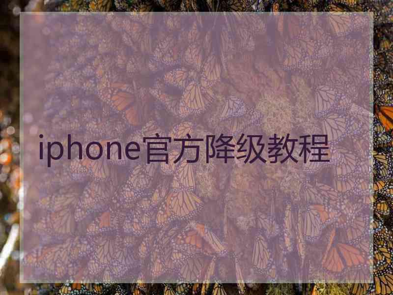 iphone官方降级教程