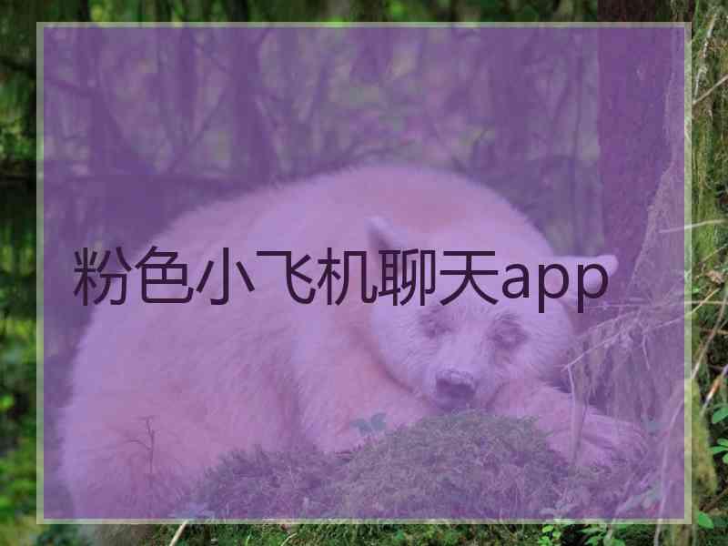 粉色小飞机聊天app