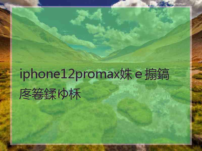 iphone12promax姝ｅ搧鎬庝箞鍒ゆ柇