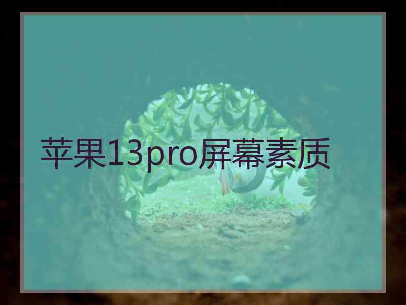 苹果13pro屏幕素质