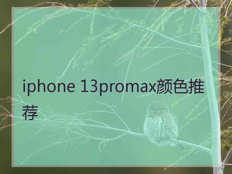 iphone 13promax颜色推荐