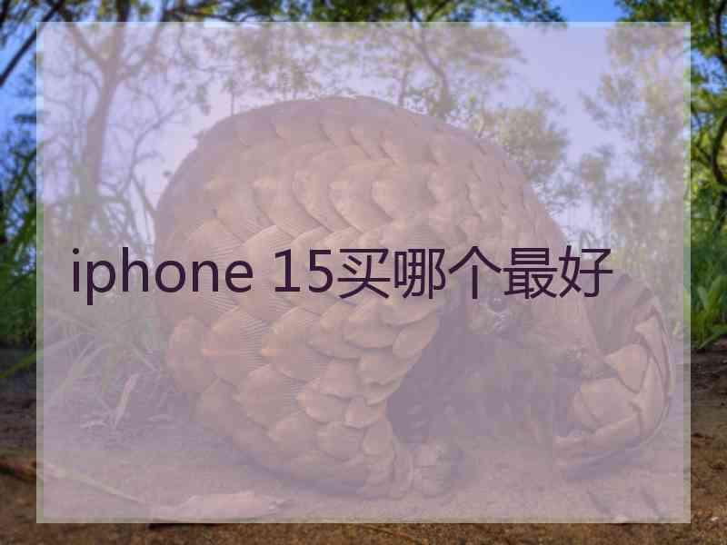 iphone 15买哪个最好