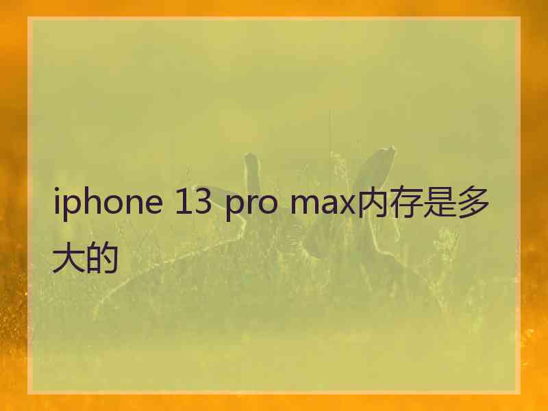 iphone 13 pro max内存是多大的