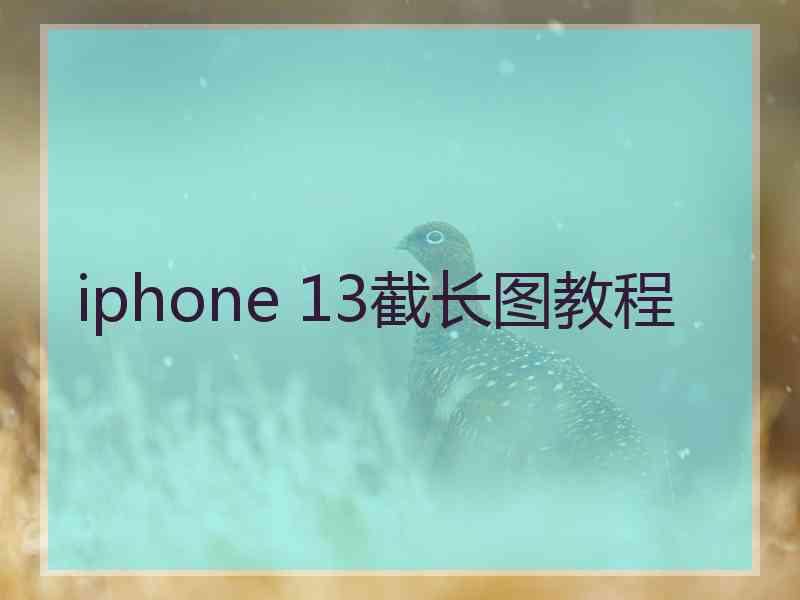 iphone 13截长图教程