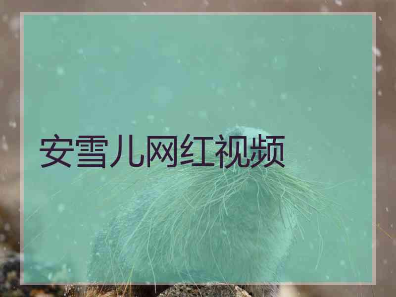 安雪儿网红视频