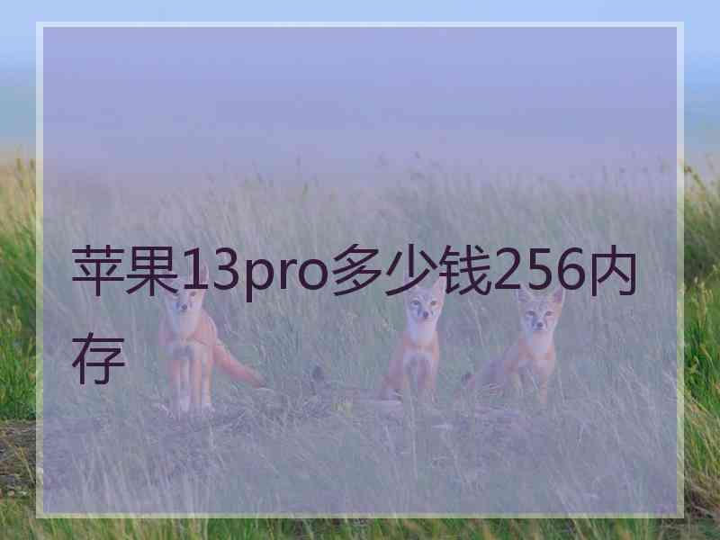 苹果13pro多少钱256内存